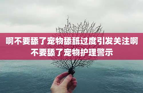 啊不要舔了宠物舔舐过度引发关注啊不要舔了宠物护理警示