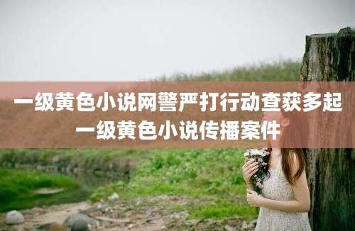 一级黄色小说网警严打行动查获多起一级黄色小说传播案件