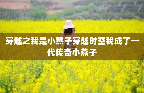 穿越之我是小燕子穿越时空我成了一代传奇小燕子