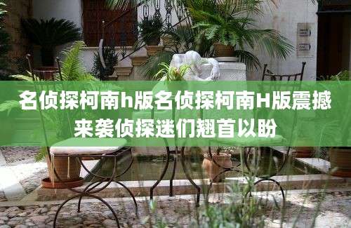 名侦探柯南h版名侦探柯南H版震撼来袭侦探迷们翘首以盼