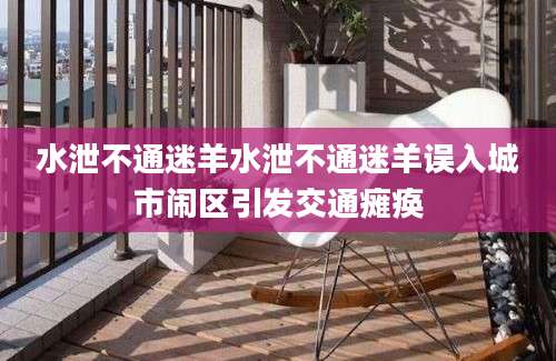 水泄不通迷羊水泄不通迷羊误入城市闹区引发交通瘫痪