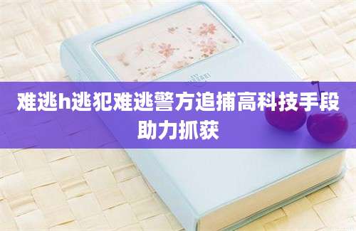 难逃h逃犯难逃警方追捕高科技手段助力抓获