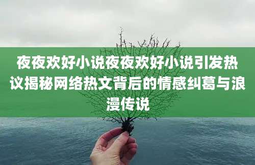 夜夜欢好小说夜夜欢好小说引发热议揭秘网络热文背后的情感纠葛与浪漫传说