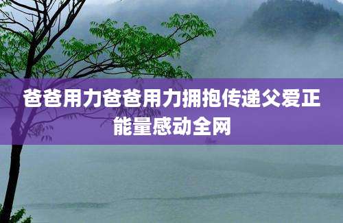 爸爸用力爸爸用力拥抱传递父爱正能量感动全网