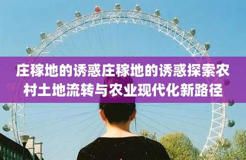 庄稼地的诱惑庄稼地的诱惑探索农村土地流转与农业现代化新路径
