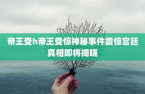 帝王受h帝王受惊神秘事件震惊宫廷真相即将揭晓