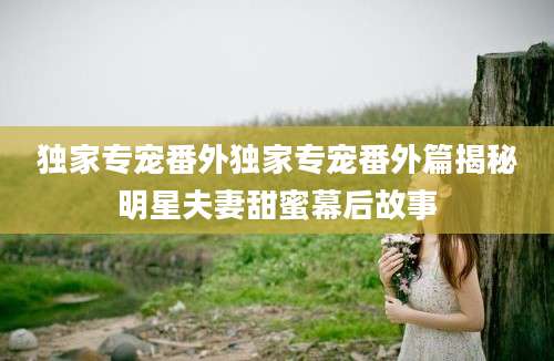 独家专宠番外独家专宠番外篇揭秘明星夫妻甜蜜幕后故事