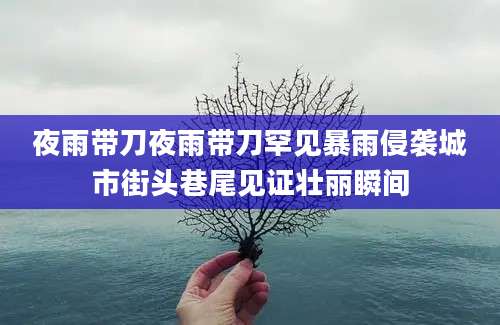 夜雨带刀夜雨带刀罕见暴雨侵袭城市街头巷尾见证壮丽瞬间