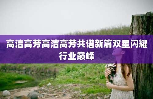 高洁高芳高洁高芳共谱新篇双星闪耀行业巅峰