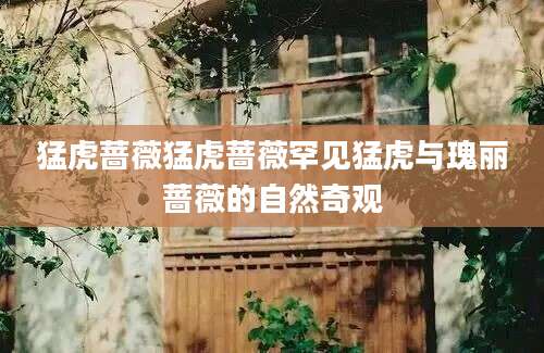 猛虎蔷薇猛虎蔷薇罕见猛虎与瑰丽蔷薇的自然奇观