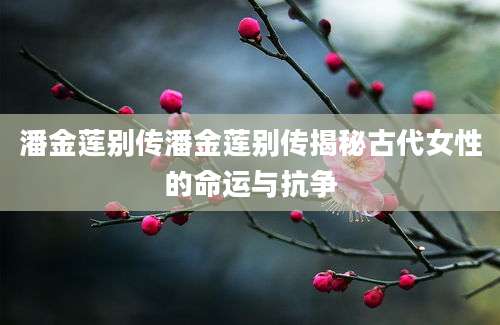 潘金莲别传潘金莲别传揭秘古代女性的命运与抗争