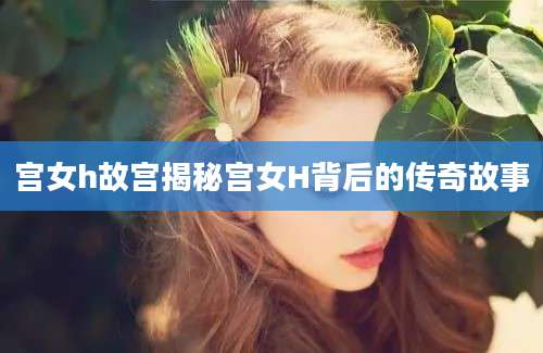 宫女h故宫揭秘宫女H背后的传奇故事