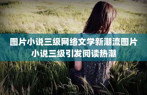 图片小说三级网络文学新潮流图片小说三级引发阅读热潮