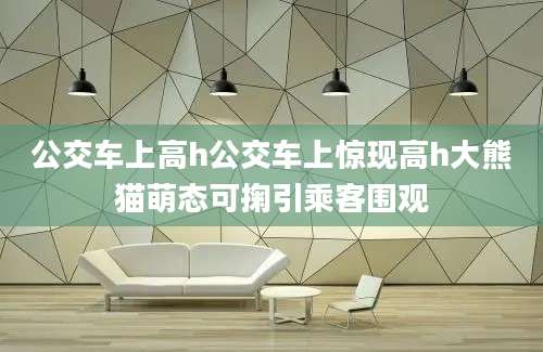 公交车上高h公交车上惊现高h大熊猫萌态可掬引乘客围观