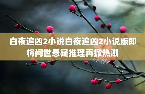 白夜追凶2小说白夜追凶2小说版即将问世悬疑推理再掀热潮