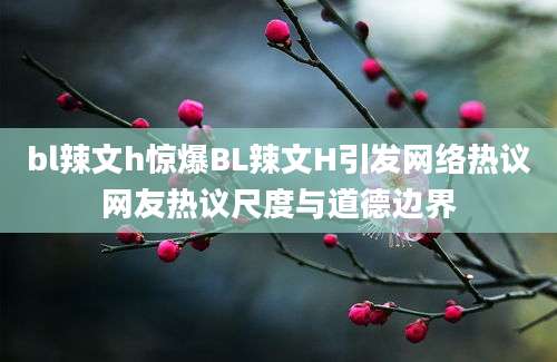 bl辣文h惊爆BL辣文H引发网络热议网友热议尺度与道德边界