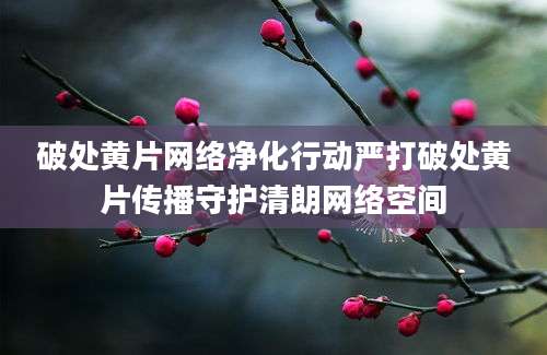 破处黄片网络净化行动严打破处黄片传播守护清朗网络空间