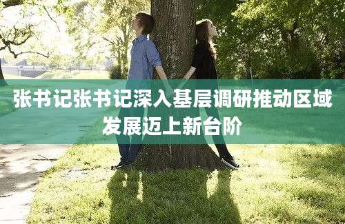 张书记张书记深入基层调研推动区域发展迈上新台阶