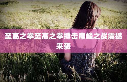 至高之拳至高之拳搏击巅峰之战震撼来袭