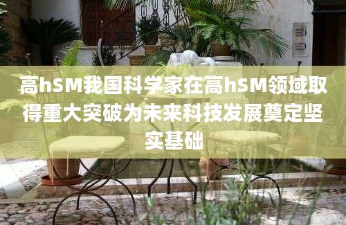 高hSM我国科学家在高hSM领域取得重大突破为未来科技发展奠定坚实基础