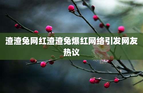 渣渣兔网红渣渣兔爆红网络引发网友热议