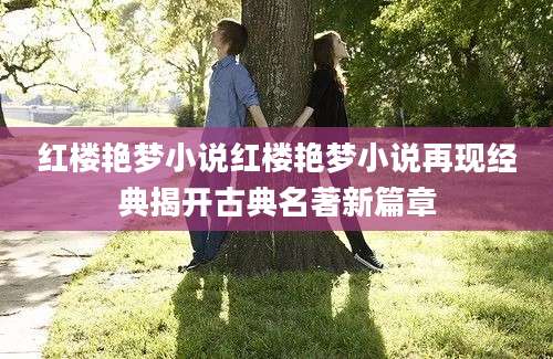 红楼艳梦小说红楼艳梦小说再现经典揭开古典名著新篇章
