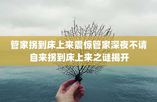 管家拐到床上来震惊管家深夜不请自来拐到床上来之谜揭开