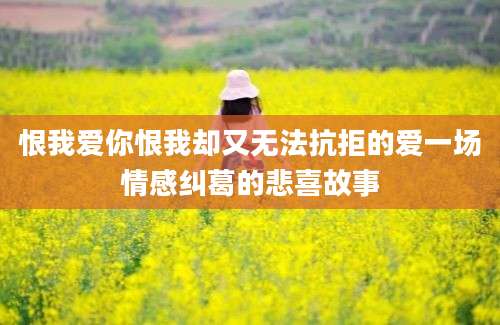 恨我爱你恨我却又无法抗拒的爱一场情感纠葛的悲喜故事