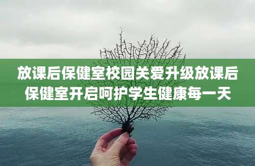 放课后保健室校园关爱升级放课后保健室开启呵护学生健康每一天