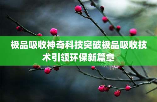 极品吸收神奇科技突破极品吸收技术引领环保新篇章