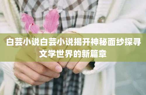 白芸小说白芸小说揭开神秘面纱探寻文学世界的新篇章