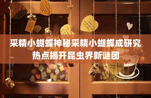 采精小蝴蝶神秘采精小蝴蝶成研究热点揭开昆虫界新谜团