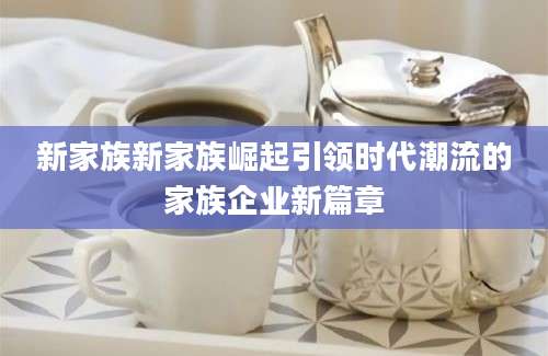 新家族新家族崛起引领时代潮流的家族企业新篇章
