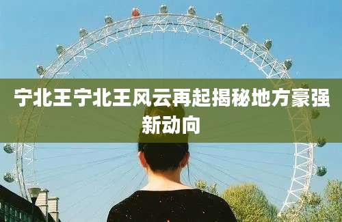 宁北王宁北王风云再起揭秘地方豪强新动向