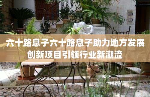 六十路息子六十路息子助力地方发展创新项目引领行业新潮流
