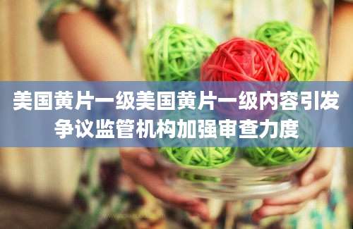 美国黄片一级美国黄片一级内容引发争议监管机构加强审查力度