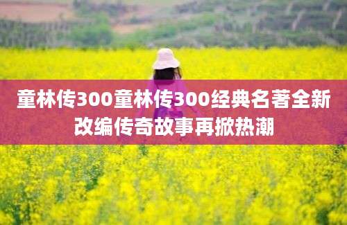 童林传300童林传300经典名著全新改编传奇故事再掀热潮