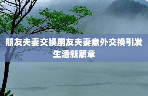 朋友夫妻交换朋友夫妻意外交换引发生活新篇章