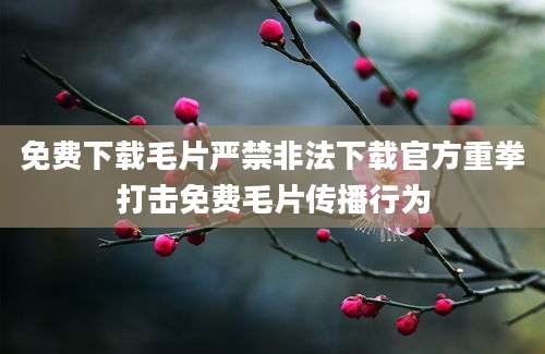 免费下载毛片严禁非法下载官方重拳打击免费毛片传播行为