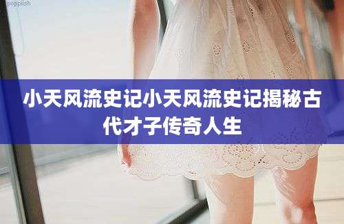 小天风流史记小天风流史记揭秘古代才子传奇人生