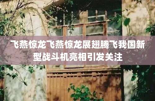 飞燕惊龙飞燕惊龙展翅腾飞我国新型战斗机亮相引发关注