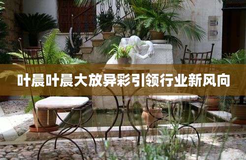 叶晨叶晨大放异彩引领行业新风向