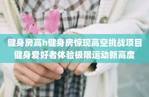 健身房高h健身房惊现高空挑战项目健身爱好者体验极限运动新高度