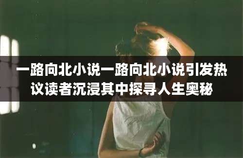 一路向北小说一路向北小说引发热议读者沉浸其中探寻人生奥秘