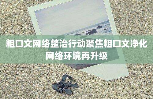 粗口文网络整治行动聚焦粗口文净化网络环境再升级