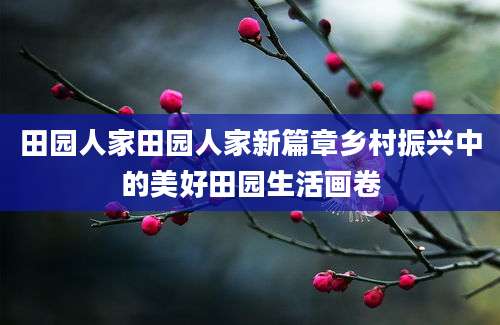 田园人家田园人家新篇章乡村振兴中的美好田园生活画卷