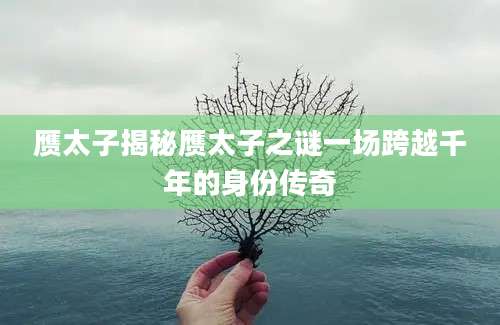 赝太子揭秘赝太子之谜一场跨越千年的身份传奇