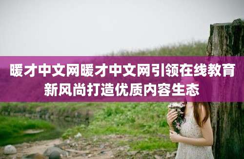 暖才中文网暖才中文网引领在线教育新风尚打造优质内容生态
