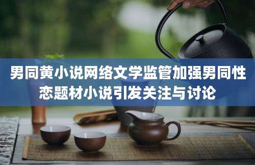 男同黄小说网络文学监管加强男同性恋题材小说引发关注与讨论