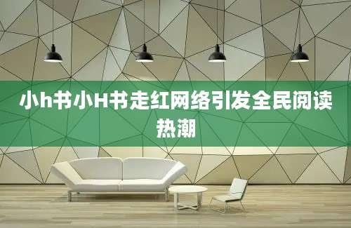 小h书小H书走红网络引发全民阅读热潮